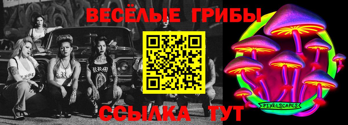 Петровск  Галлюциногенные грибы Magic Shrooms  Вход с VPN  Галлюциногенные грибы Psilocybine cubensis 
