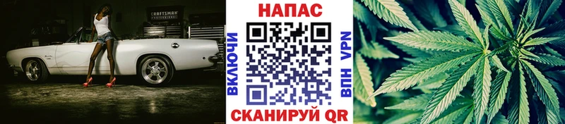 Марихуана индика  продажа наркотиков  Петровск 